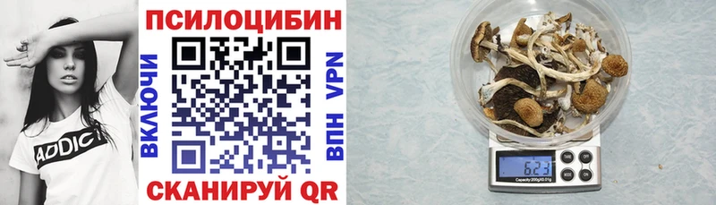 даркнет сайт  Волгореченск  Псилоцибиновые грибы прущие грибы 